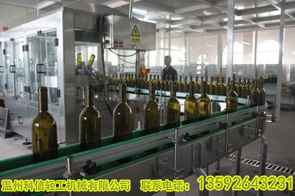沙棘果酒生产线设备