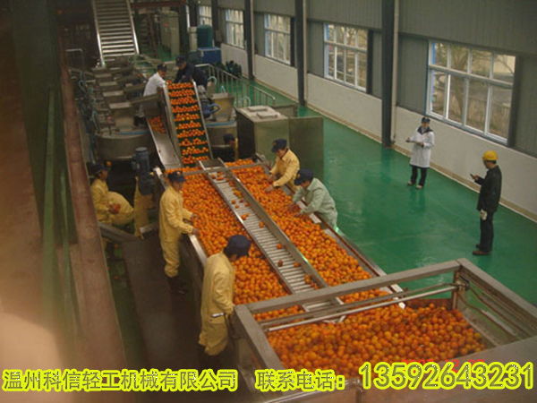 番茄酱生产设备
