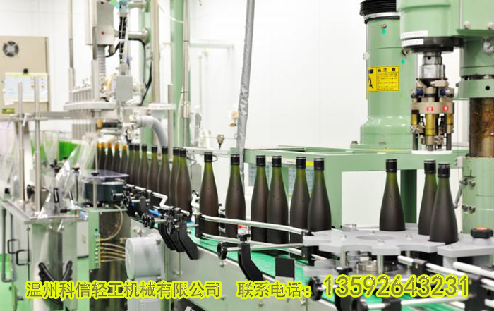 整套木瓜酵素生产线设备价格|小型木瓜酵素发酵设备厂家温州科信