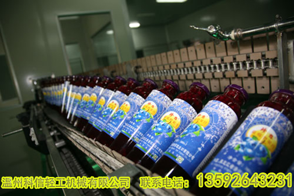 全自动蓝莓果汁饮料生产线设备价格|中小型蓝莓汁饮料灌装设备厂家温州科信