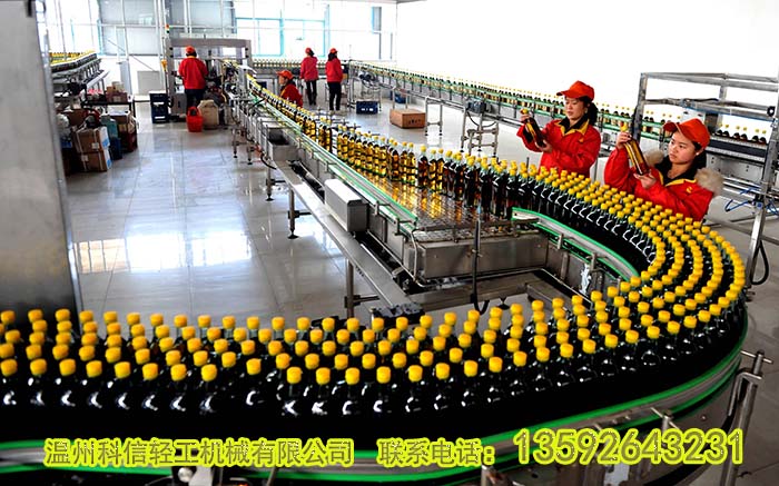整套玫瑰茄酵素生产设备 玫瑰茄酵素加工设备厂家
