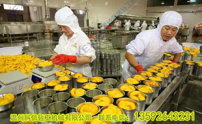 整套水果罐头加工生产线设备 小型黄桃罐头灌装设备厂家