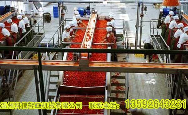 整套番茄酱生产设备 西红柿酱加工设备厂家